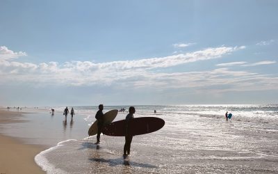 Le lexique du Surfer